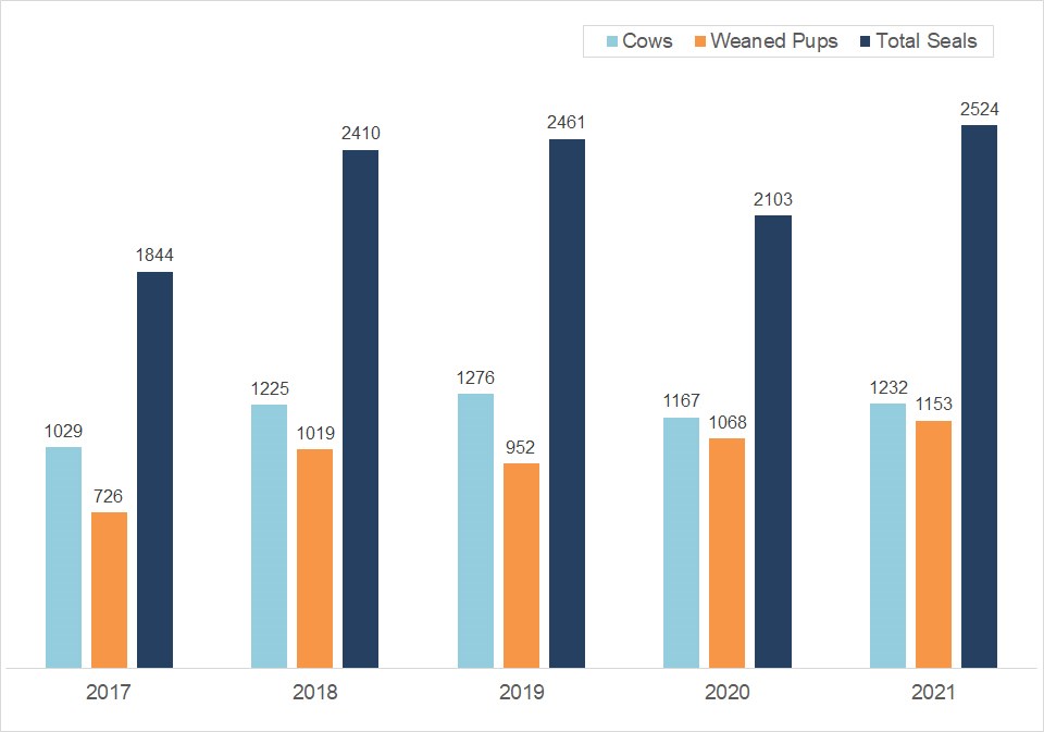 Elephant seal seasonal peaks, 2017-2021 Column graph showing stable or slightly rising numbers of elephant seal cows, pups, and total seals over the last five years.