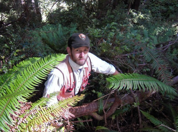 Sean Smith Bearded man with forestry vest on standing behind very tall ferns.