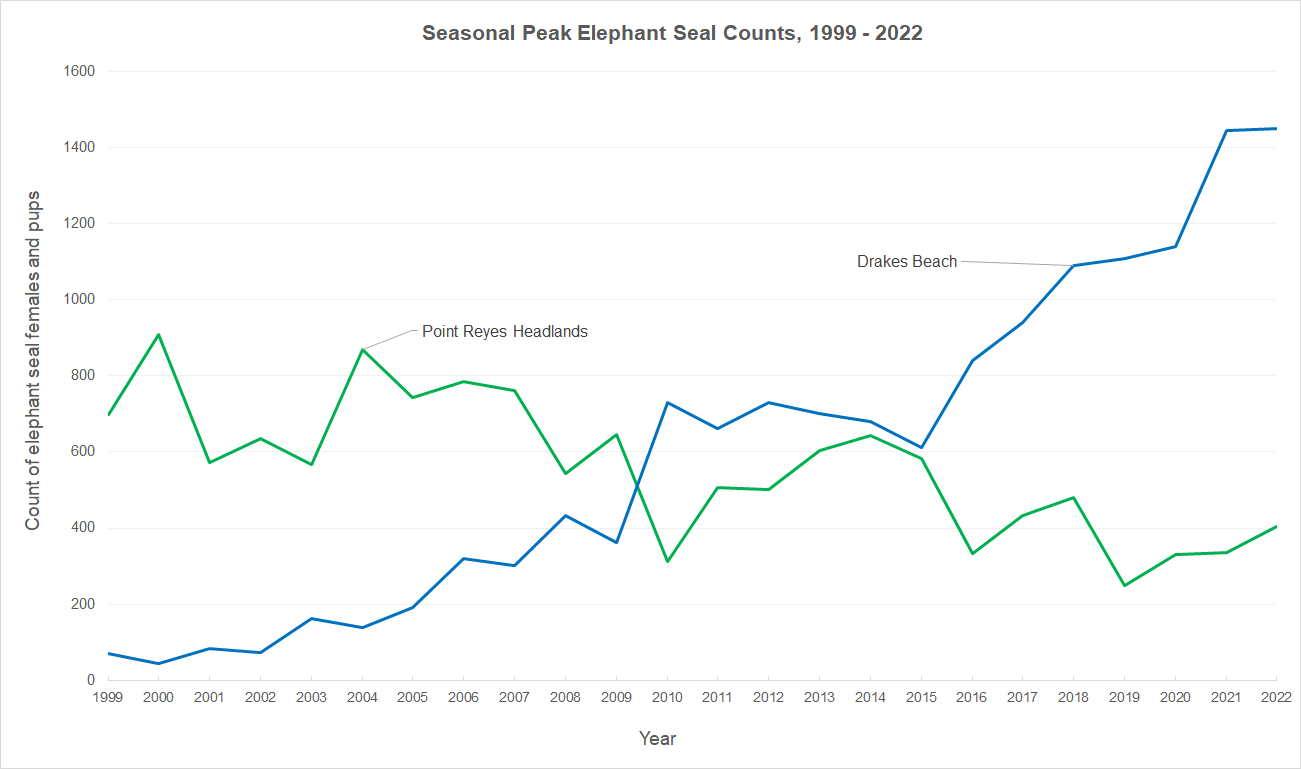 Line graph of combined elephant seal female and pup counts from 1999 to 2022 at Drakes Beach and the Point Reyes Headlands. The lines go in opposite directions with the Drakes population growing as the Headlands population shrinks.