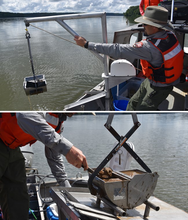 Getting a sediment sample A sampler bucket hangs over the side of a boat. Mud is spooned out of the bucket.