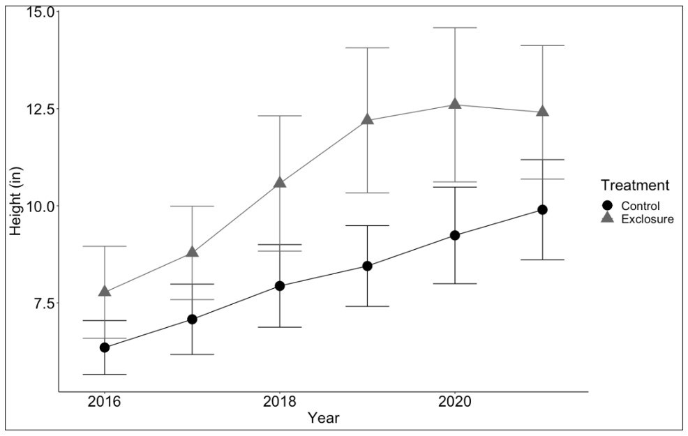 Line graph of seedling heights with two lines. The line for seedling height in deer exclosures is above (higher) than that for control plots, but 95% confidence intervals for the averages overlap in four of the six years. Line graph of seedling heights with two lines. The line for seedling height in deer exclosures is above (higher) than that for control plots, but 95% confidence intervals for the averages overlap in four of the six years.