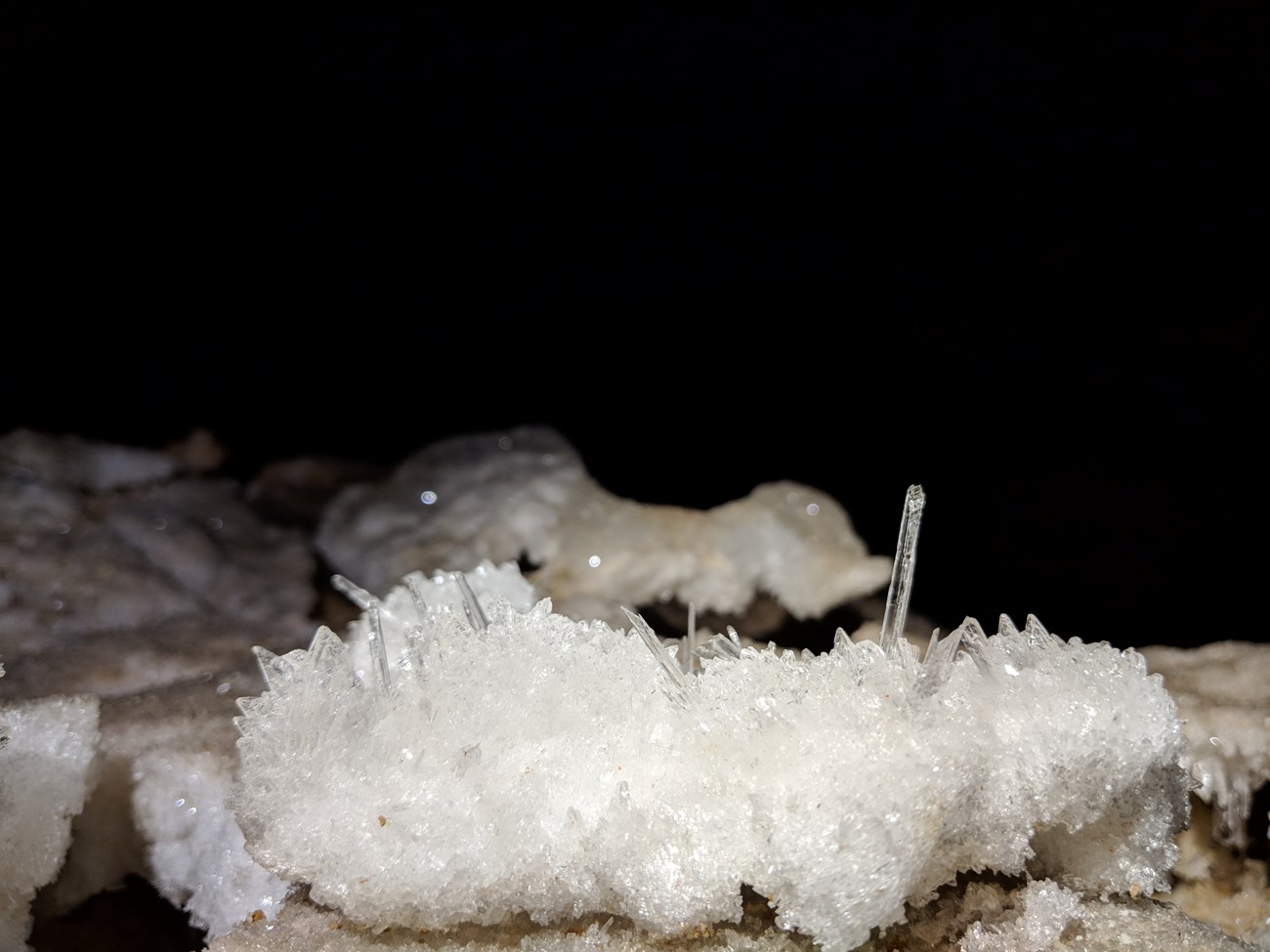 Selenite Blades by Dan Pawlak