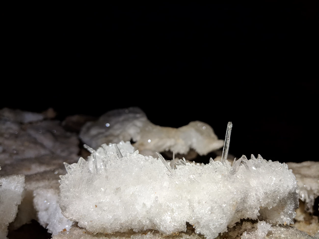 Selenite Blades by Dan Pawlak Selenite Blades by Dan Pawlak