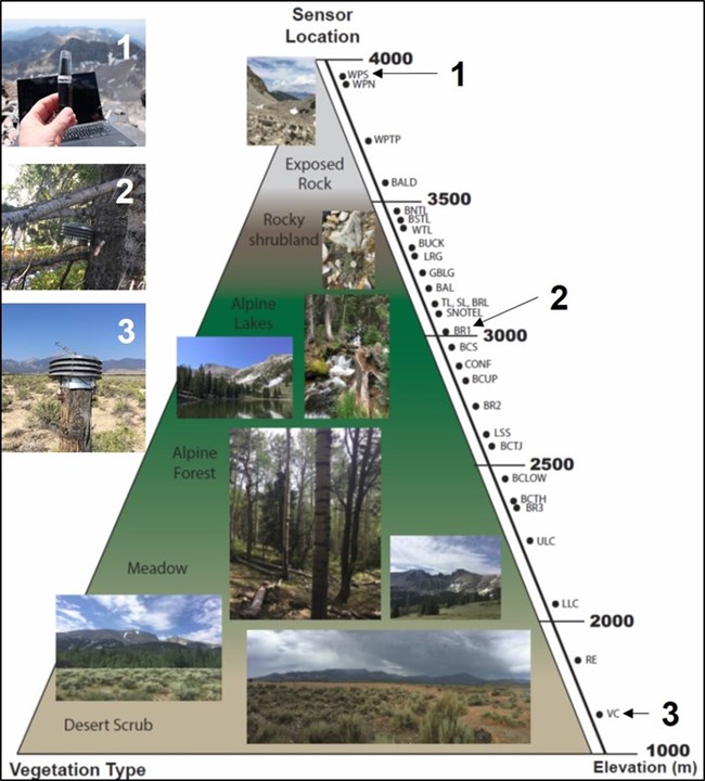 Vertical schematic representing the ESN sensor location by elevation and ecosystem.