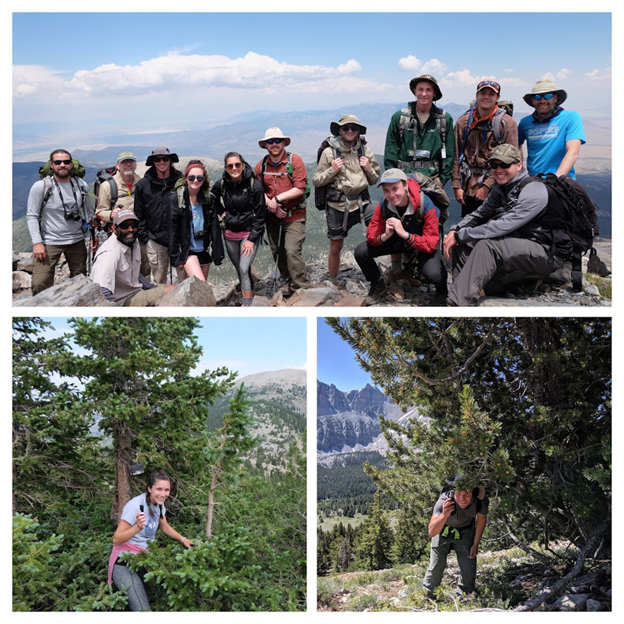 Photos show team atop Wheeler Peak during the 2017 expedition (top), and recovery of Lascar temperature and  humidity dataloggers in different locations.