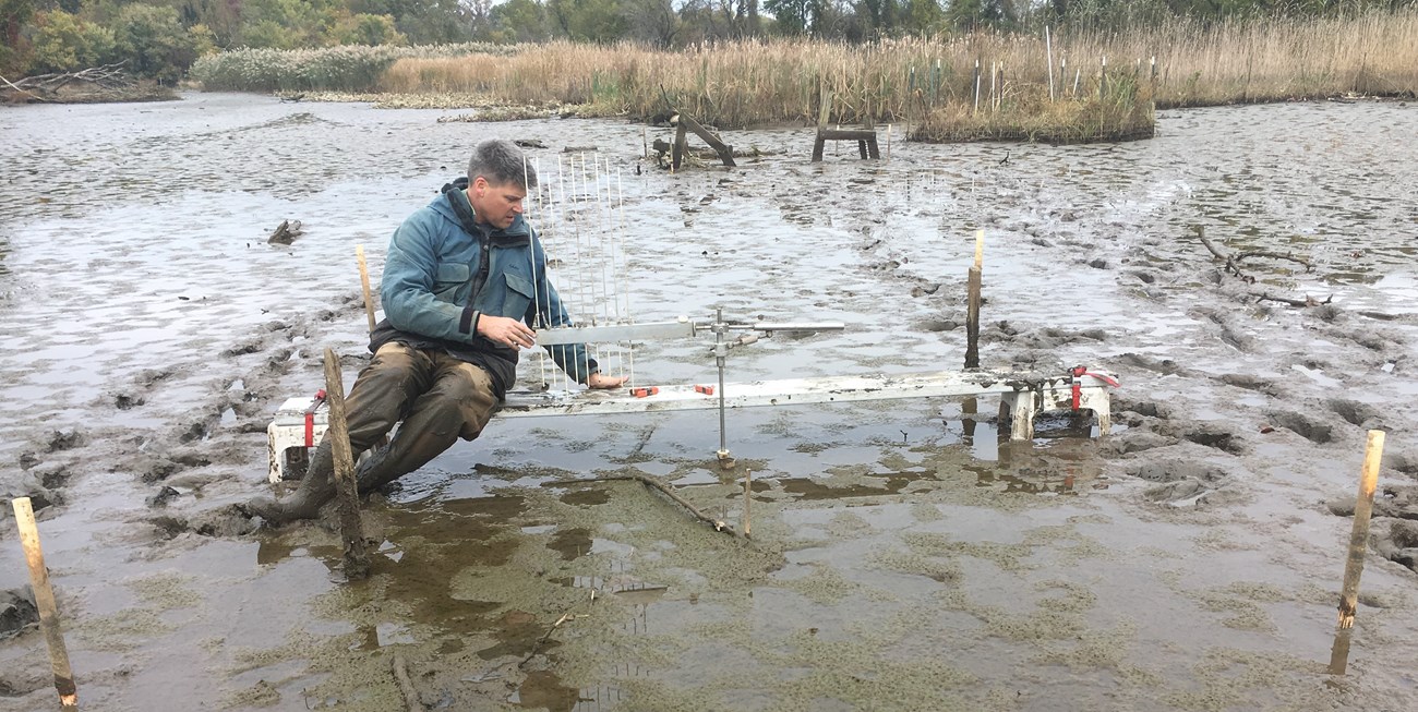 Scientist on a bench in a muddy wetland taking measurements from an SET