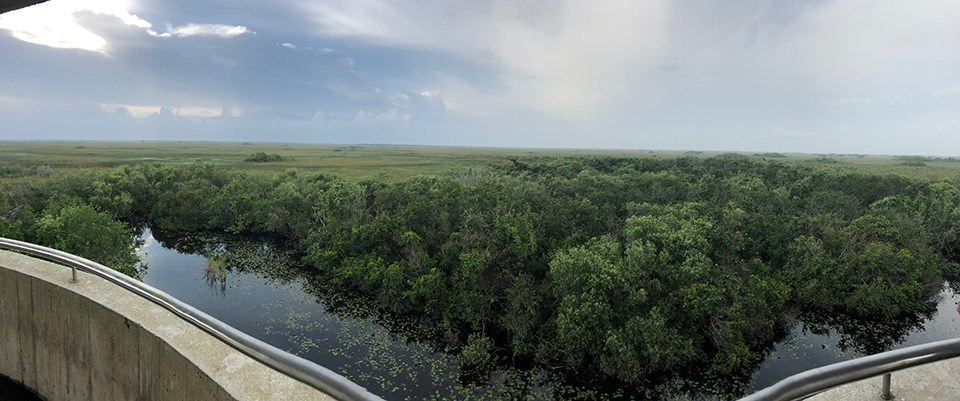 panoramic view of a wide green landscape