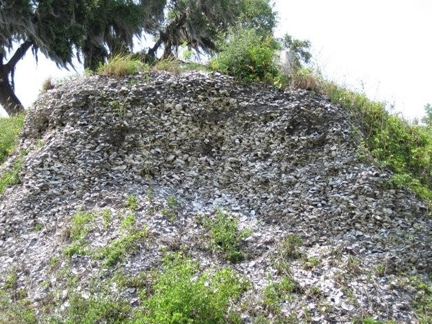 Shell Midden Photograph of a shell midden, a hill with shells, sand, and grass.