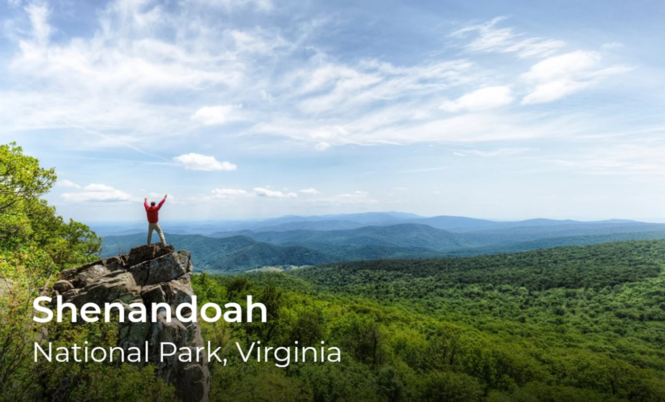 Shenandoah: Discover the Magic of Virginia’s Scenic Wonderland