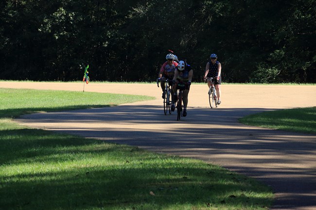 Bicyclists hidden in the shade of the trees.