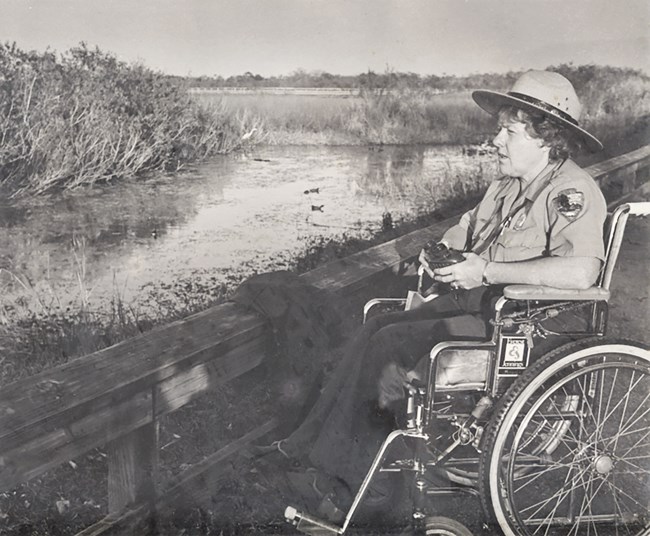 Ranger Shirley Beccue in her wheelchair, wearing the NPS uniform and flat hat, looks out over the Everglades.