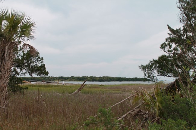 Men are shown working on creating the Cockspur Island shoreline on a nice day. Marsh grasses and trees appear in the foreground; a river and forested land can be seen in the background.
