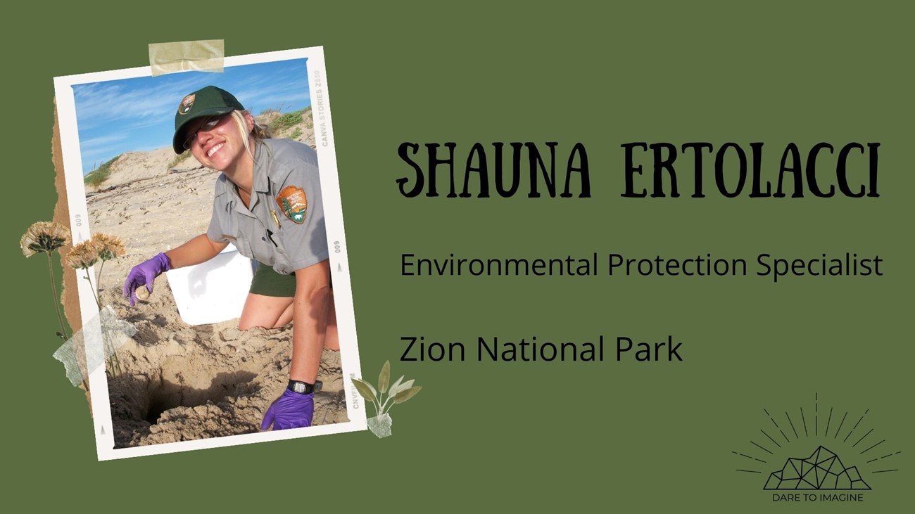 graphic of a woman. text reads Shauna Ertolacci Environmental Protection specialist