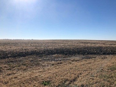 Site of Hopper Homestead Today Image of the present day site Hopper Homestead, a field.