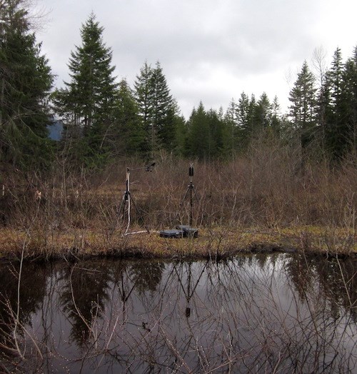 Kautz Ponds soundscape recording site. Sound equipment on two tripods set up on the edge of a pond in a forest.