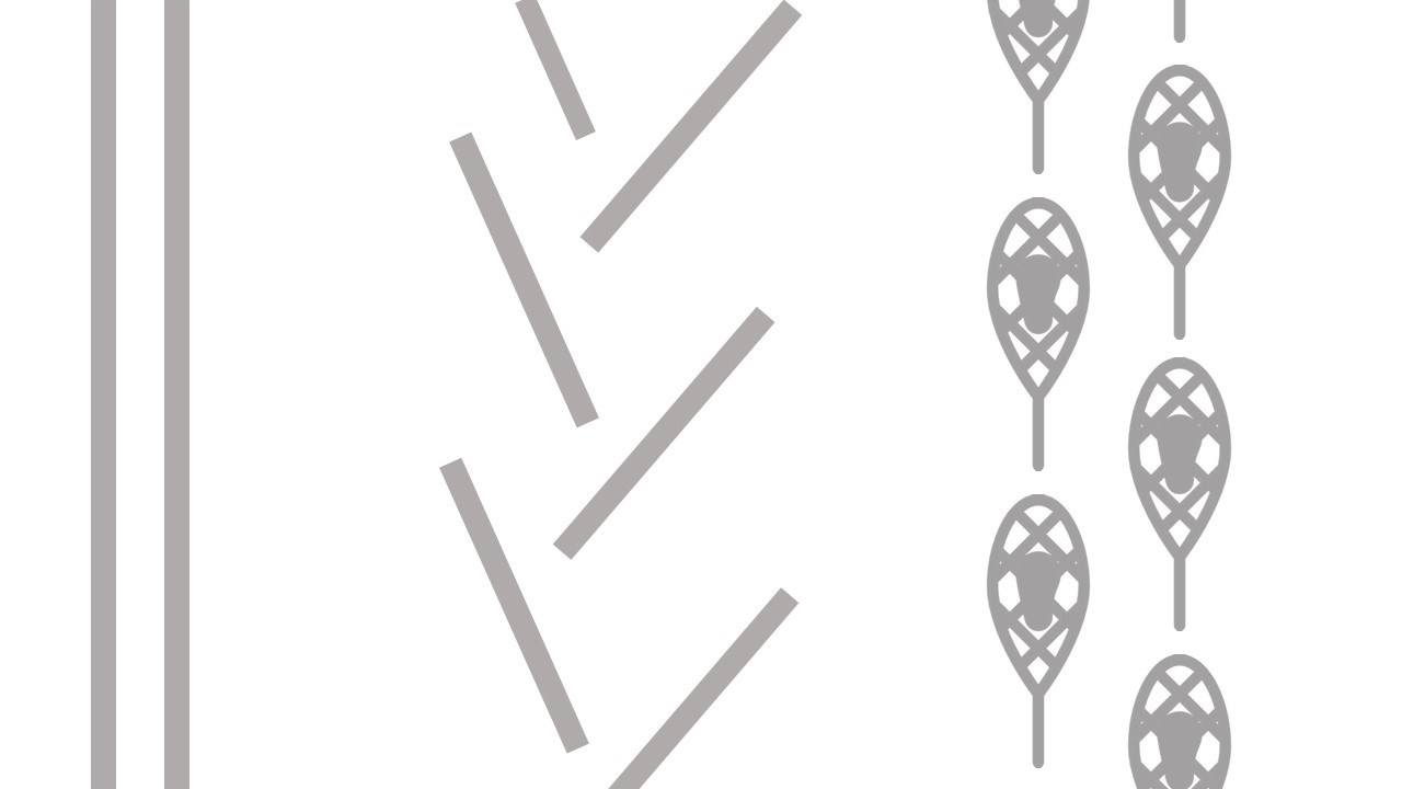 SouthRimSkiLanesGraphic SouthRimSkiLanesGraphic