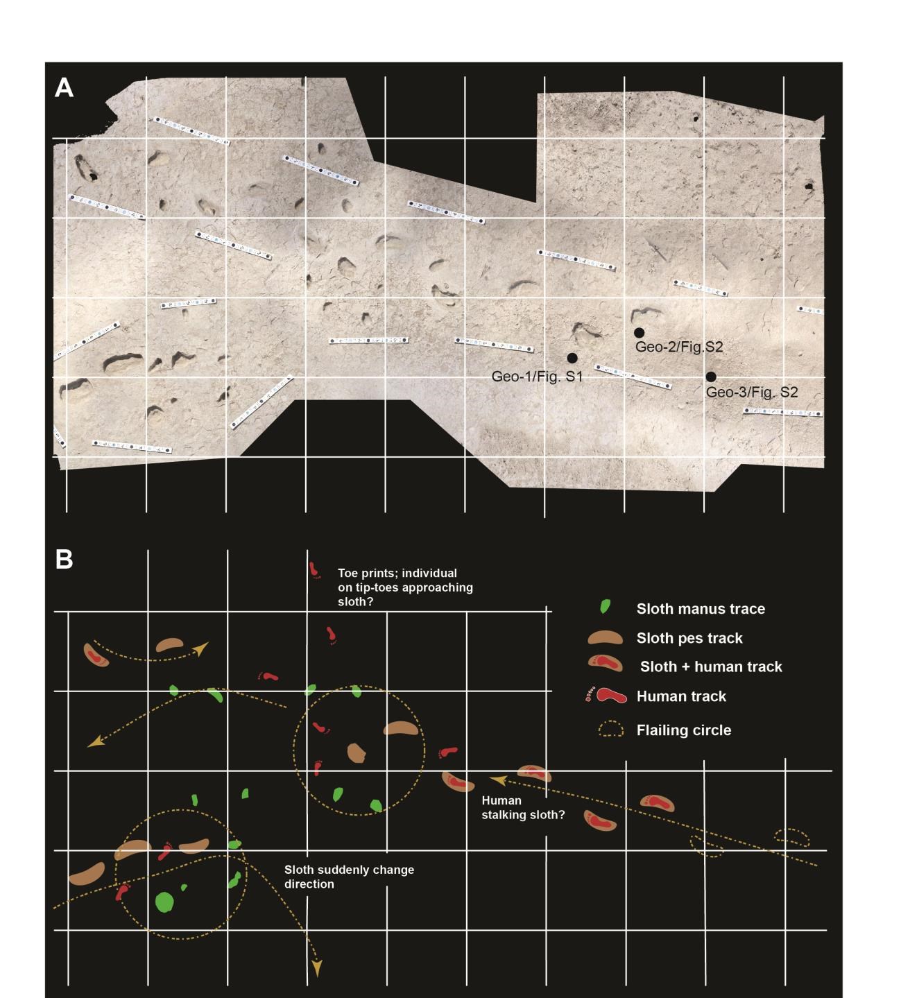 A black grid, on top is an aerial photo of tracks. On the bottom are colorful graphic track representations.