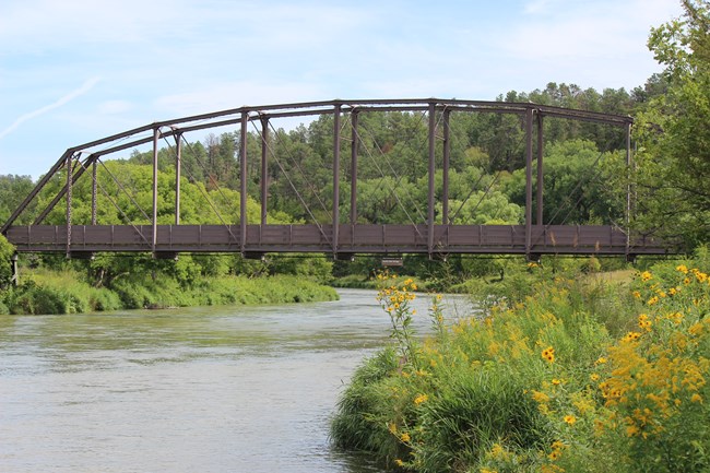 Yellow flowers in foreground, lush green grass, and a bridge spanning a river.