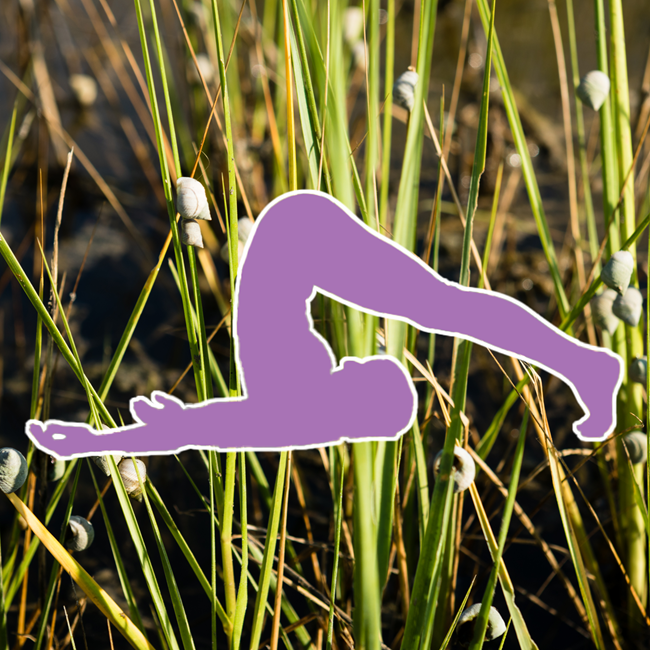 A person in snail pose with an image of snails crawling on grass in the background.