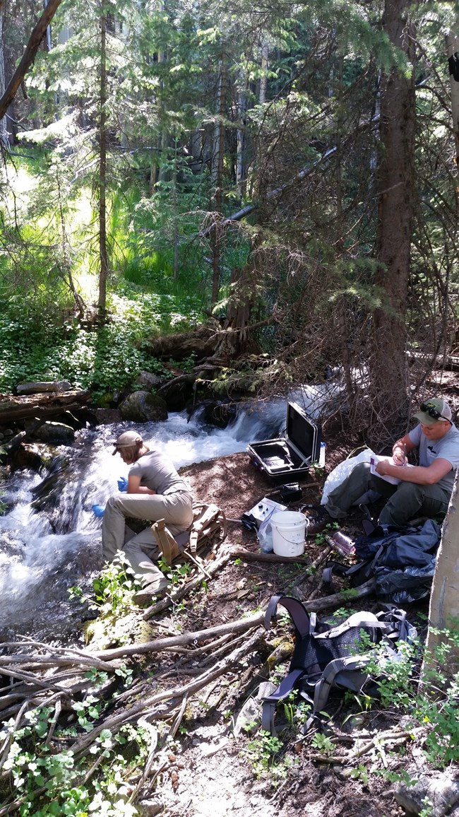 Snake Creek treatment Two staff members on a stream bank with water filtering equipment to test for fish DNA