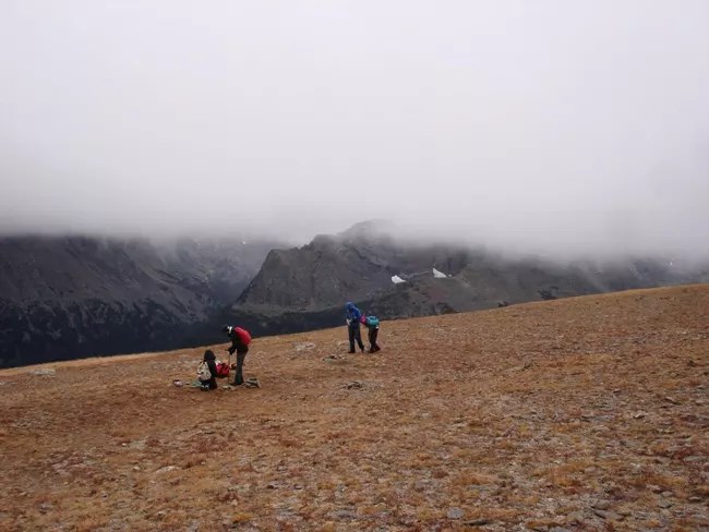 Soil Samples Researchers on the alpine tundra collecting soil samples