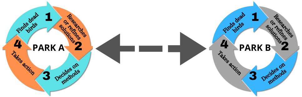 Solution silos On the left: Park A. four circular arrows with the titles: 1. Finds dead birds; 2. Researches or refines solutions; 3. Decides on methods; 4. Takes action. On the right: same for Park B. In between the two sets of circular arrows is a broken two-way arrow