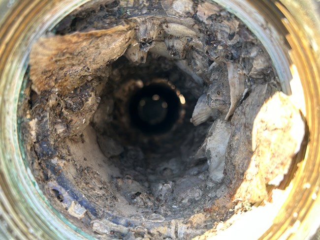 looking down pvc housing full of barnacles