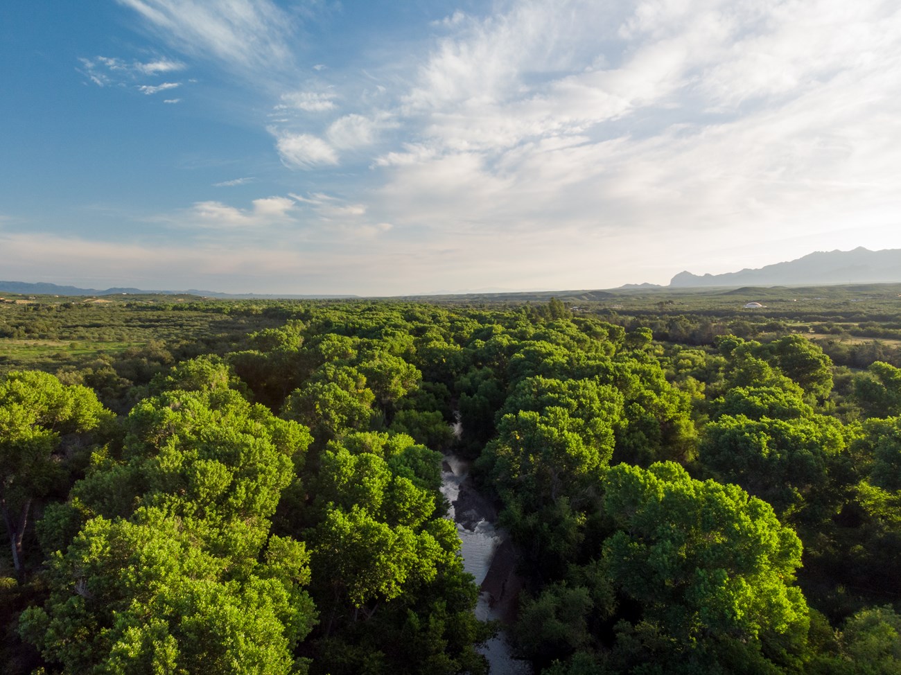 Aerial view of riber traveling through expansive landscape covered in trees with mountain in distance.