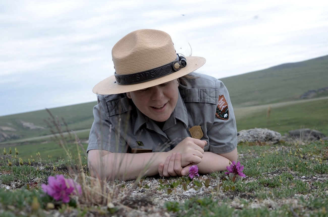 Ranger Katie Looking at flowers A female ranger looks at a flower while laying on the tundra.