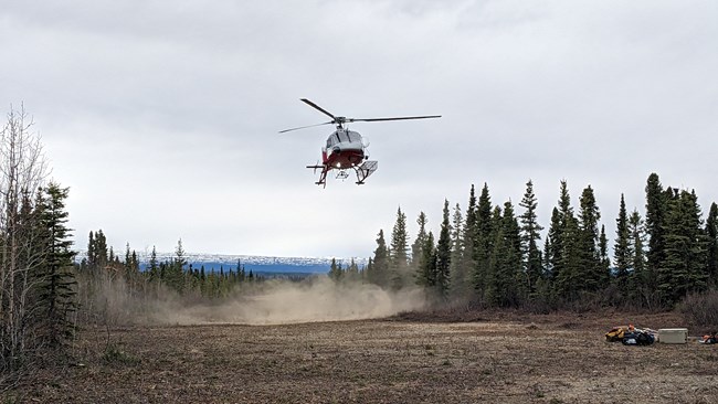 Sore Thumb Airstsrip landing A helicopter approaches for a landing on a dirt airstrip in the middle of a forested area with mountains in the background