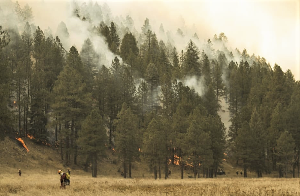 A prescribed fire in the Valles Caldera National Preserve slowly backs down a hill while TREX participants look for spot fires below. Photo: Pablo Alcorta , S.P.L.I.F. El Bolsón firefighters monitor for spot fires