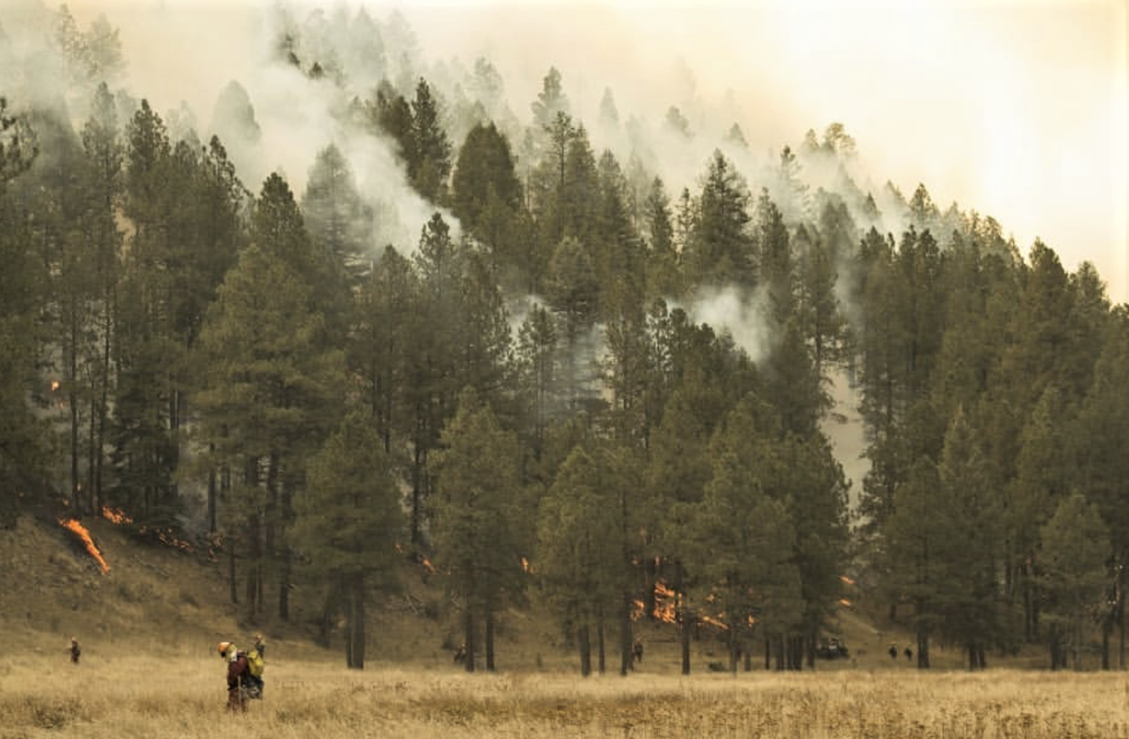 firefighters monitor for spot fires