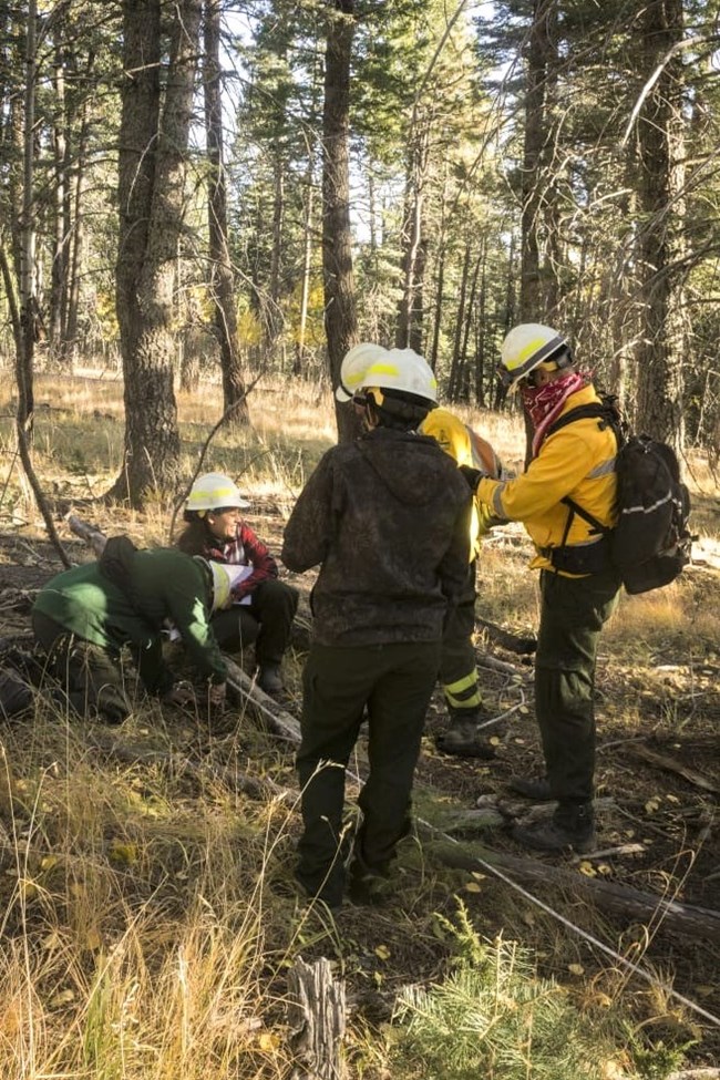 TREX participants work together to collect surface fuel data using the Brown's line method for inventorying downed woody material.
Photo: José Duce, The Nature Conservancy A crew inventories downed woody material