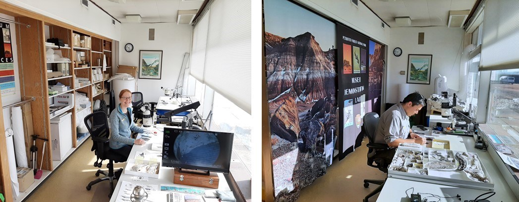 2 photos showing the inside of the fossil demo lab