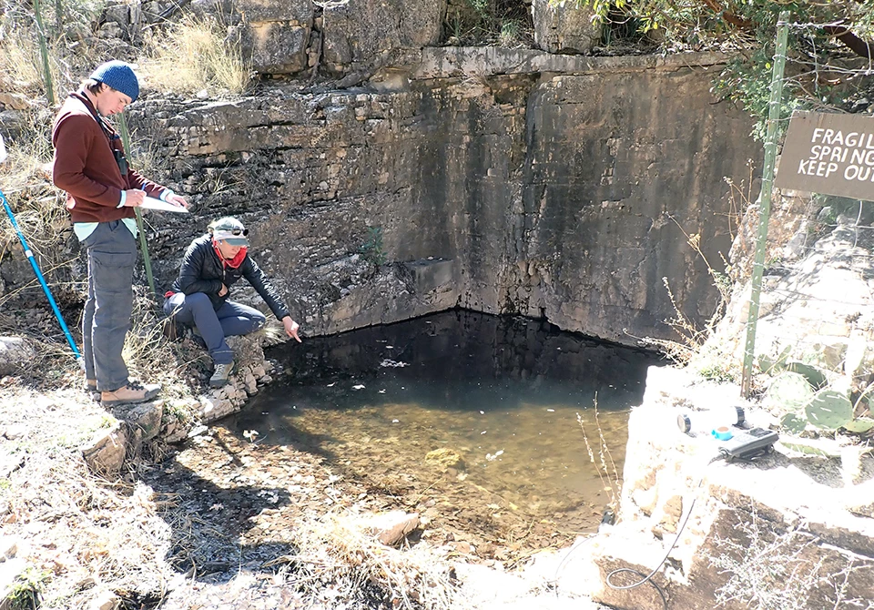 Primary sampling location at Dog Canyon Spring Two people standing on the edge of a square pool pointing at the water and taking notes.