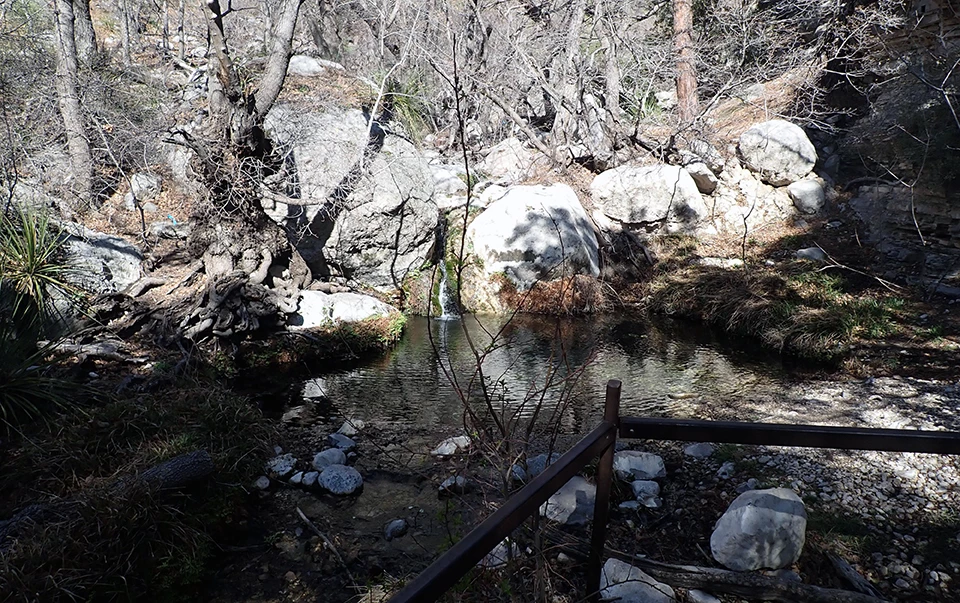 Smith Spring A shaded pool of water behind a fence, fed by a narrow channel cascading between two boulders in a forested drainage.