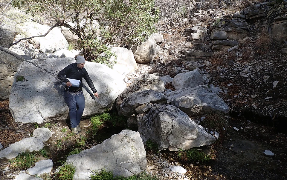 Primary orifice of Smith Spring A person points at a pool of water along a shaded flowing stream with small boulders laid throughout. Trees surround the stream’s banks and green plants dot the edges of the pool around the boulders.