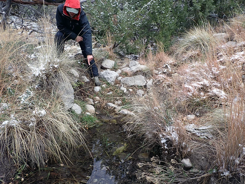 Primary orifice at Upper Pine Spring A person pointing down at a pool. The pool is surrounded by rocks and clumps of grass. There are some small patches of snow on the ground.