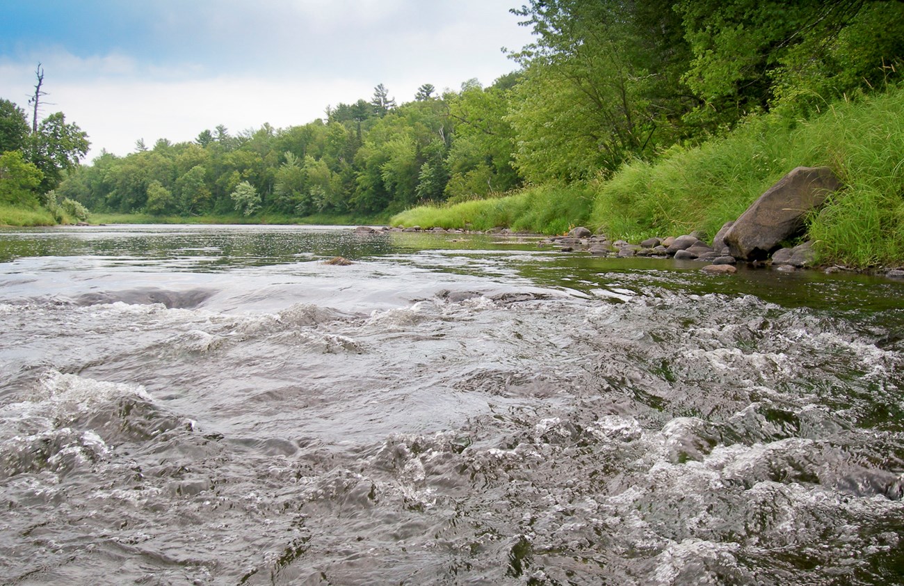 Small ripples on a swiftly moving river lined with green trees