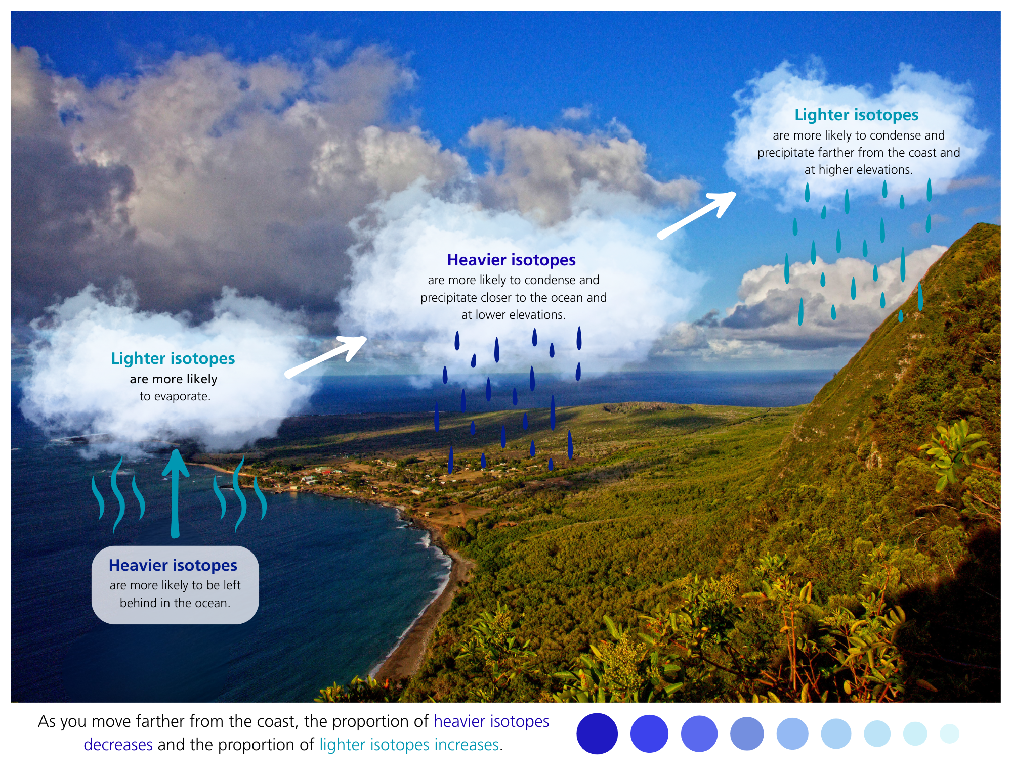 Infographic showing the relationship between lighter and heavier isotopes and precipitation at lower and higher elevations.