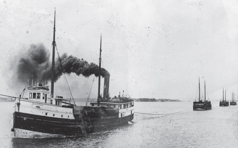 A steamer, known as a “hooker” pulls a series of Schooner barges. A boat, deck covered in stacks of cordwood, billowing black smoke, pulls a line attached to another boat. The line continues back, pulling another boat, and another.