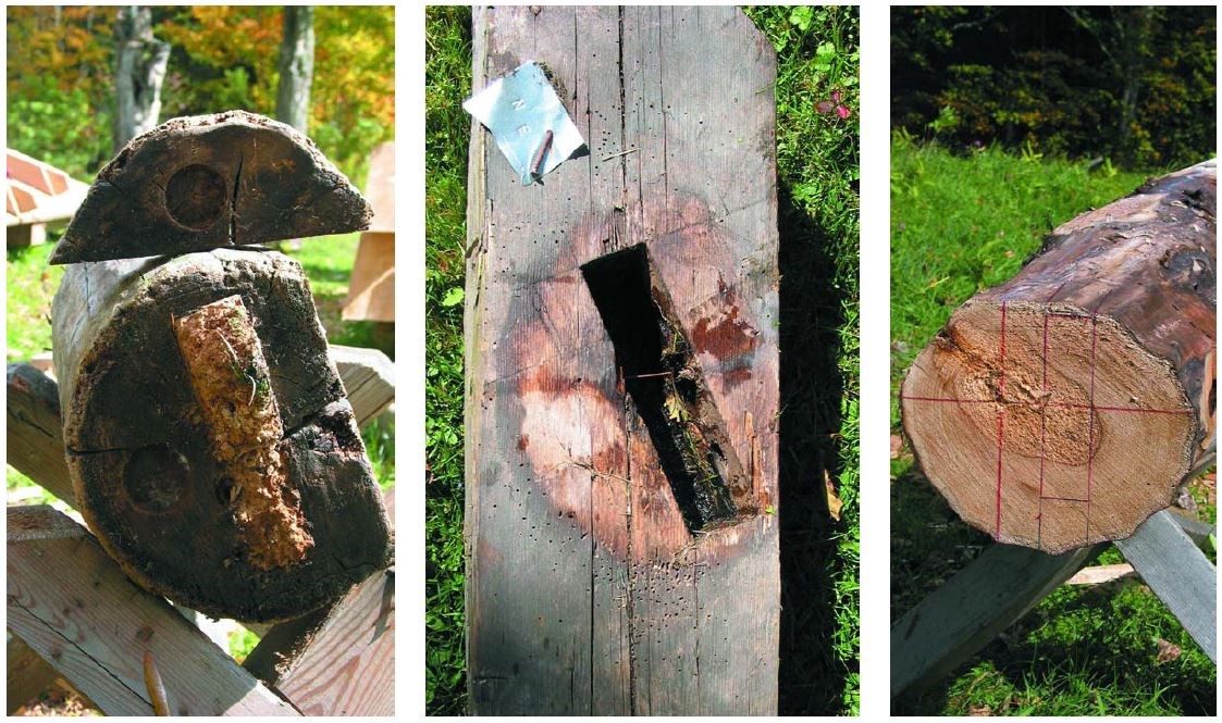 Left to right End of a post with rotted tenon. Beam with debris in rectangle mortise. End of a post with red lines outlining new tenon location.