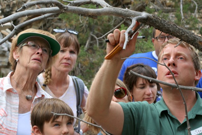 Steve Leavitt showing participants lichen