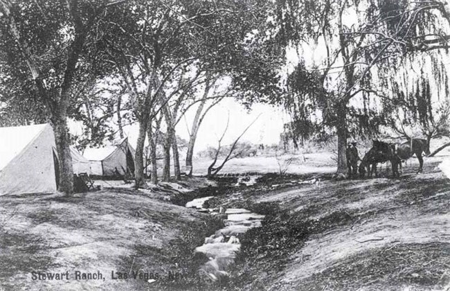 Tents next to a small stream