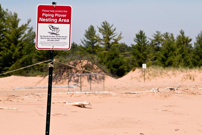 Sign on post in front of rectangular wire cage on sand beach.