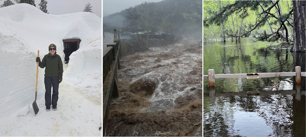 Left: Woman holds snowshovel surrounded by walls of snow and a buried visitor center behind her; Middle: View of muddy, raging water of Kaweah River from bridge; Right: Area Closed sign on fence that is nearly underwater and view of flooded area, Yosemite