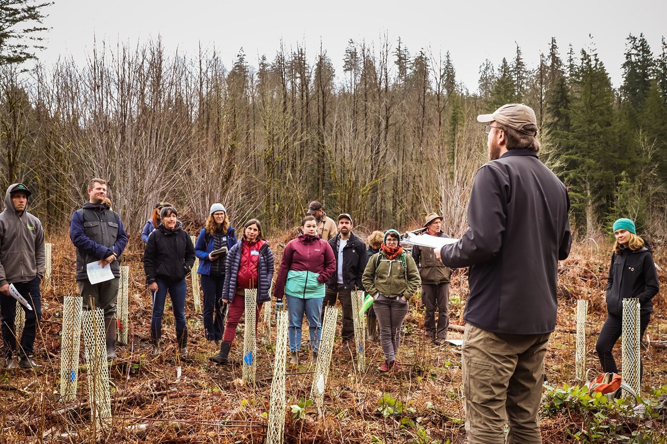 A group of thirteen people dressed for chilly weather stand in the clearing of a wooded area with thicket and protected sapling plantings, listening to one man speaking