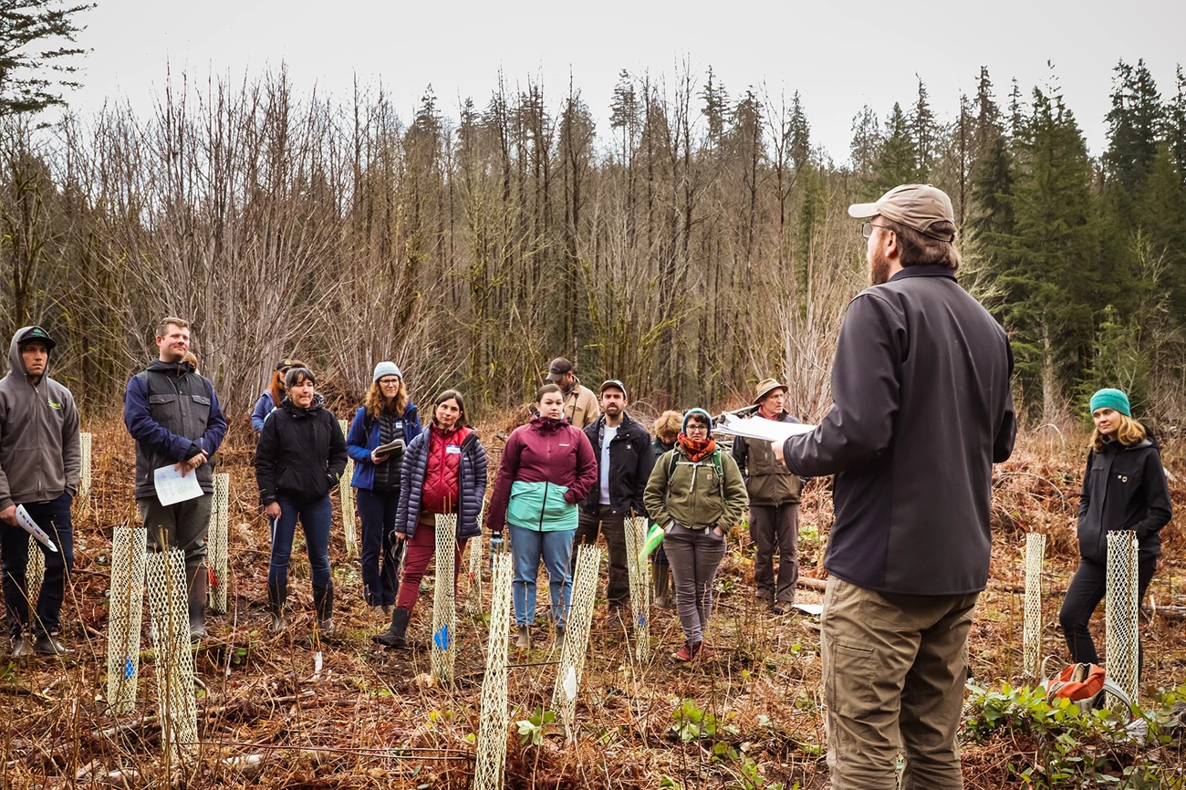 Stossel Creek, Mountains to Sound Greenway NHA A group of thirteen people dressed for chilly weather stand in the clearing of a wooded area with thicket and protected sapling plantings, listening to one man speaking