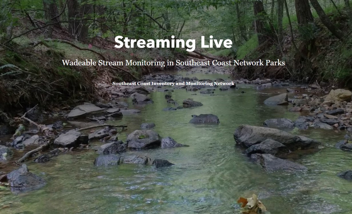 photo of a stream