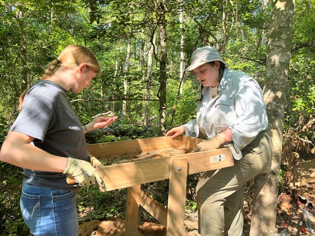 Student workers sifting through soil in Kisatchie National Forest, Deridder, Louisiana
